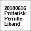 20180616 Profetisk Pernille Liliand